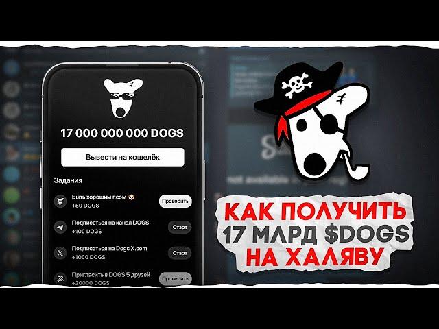 КАК ПОЛУЧИТЬ 17 МИЛЛИАРДОВ $DOGS НА ХАЛЯВУ И ВЫВЕСТИ НА СВОЙ КОШЕЛЁК ( СЕКРЕТНЫЙ СПОСОБ! )