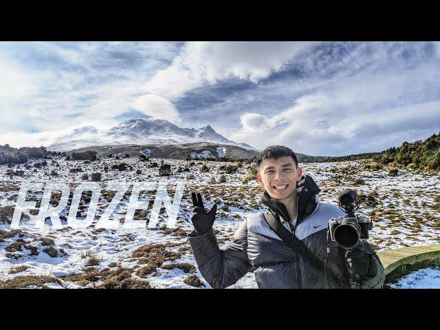 Frozen Waterfalls at Tongariro National Park | New Zealand