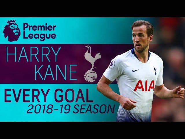 Every Harry Kane goal from the 2018-19 Premier League season | NBC Sports