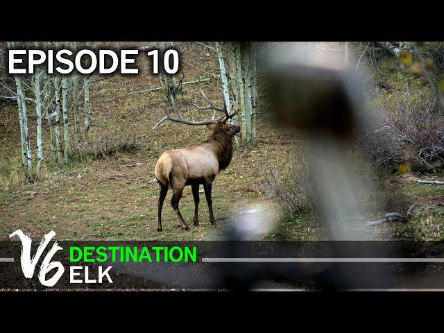 Put Your Mistakes – and Your Obstacles – Behind You: Episode 10 (Destination Elk V6)