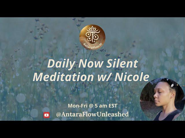 Daily Now 20-Min Silent Meditation w/ Nicole (day 341)