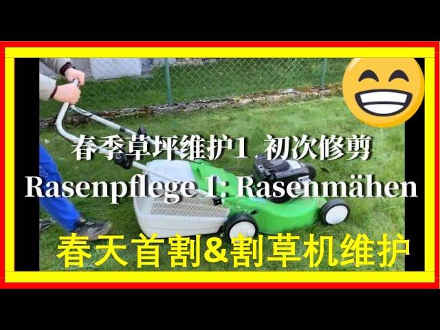 Spring lawn maintenance 1-How to take care of gasoline lawn mower, how to mowing for the first time