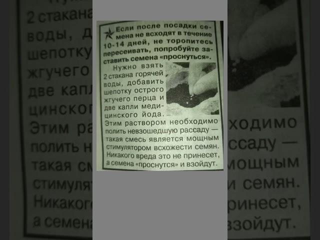 Если не всходят семена, делайте это️#интересно #познавательно