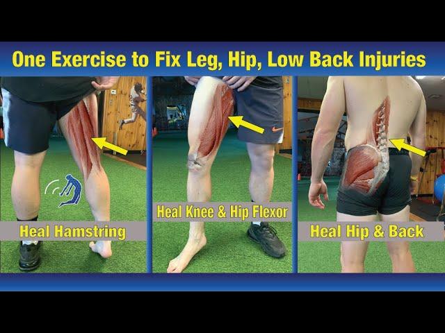 ONE Exercise to FIX Any Lower Body Injury - Hips, Legs, and Low Back