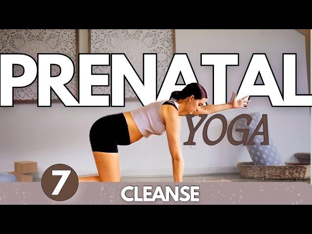 Yoga Stretches for Pregnancy | Day 7 Cleanse | Prenatal Yoga for All Trimesters