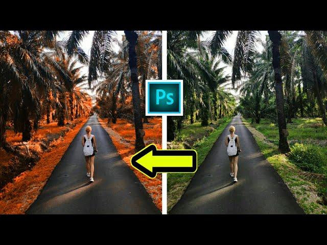 1 Minute Photoshop Add These 2 Layers to Make Orange Color Effect in Photoshop 2022