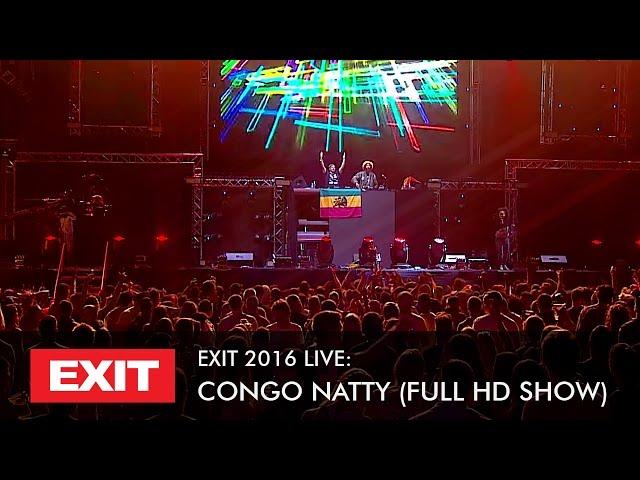 EXIT 2016 | Congo Natty Live @ Main Stage Full HD Show