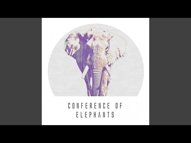 Conference Of Elephants