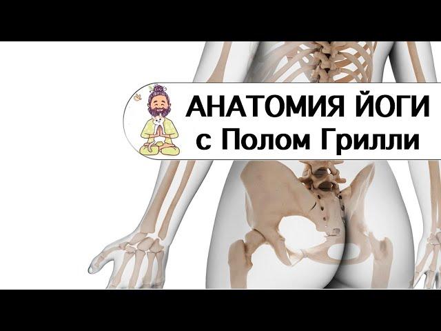 Анатомия йоги с Полом Грилли. Весь цикл в одном видео