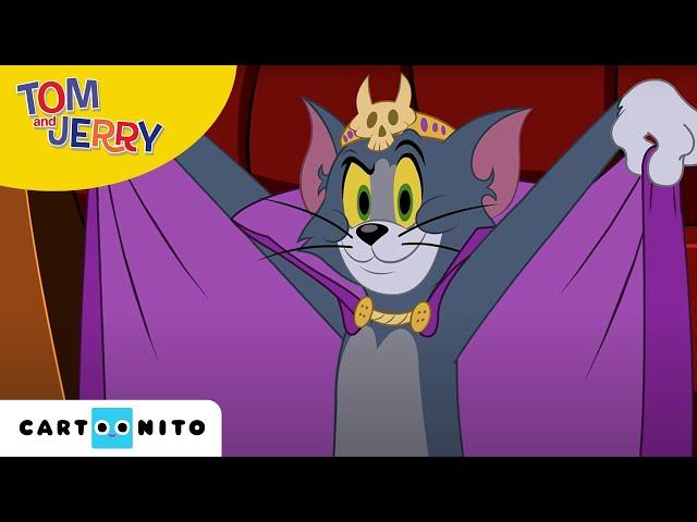 Tom und Jerry | In den Katz-a-komben | Cartoonito