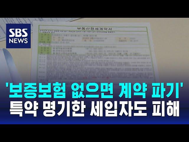 '보증보험 없으면 계약 파기'…특약 명기한 세입자도 피해 / SBS