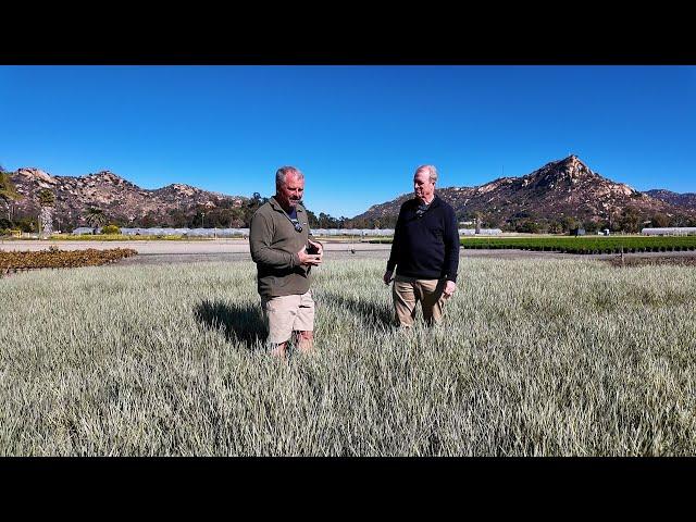 Drought Tolerant Amazing Plants for the West from the Sunset Plant Collection