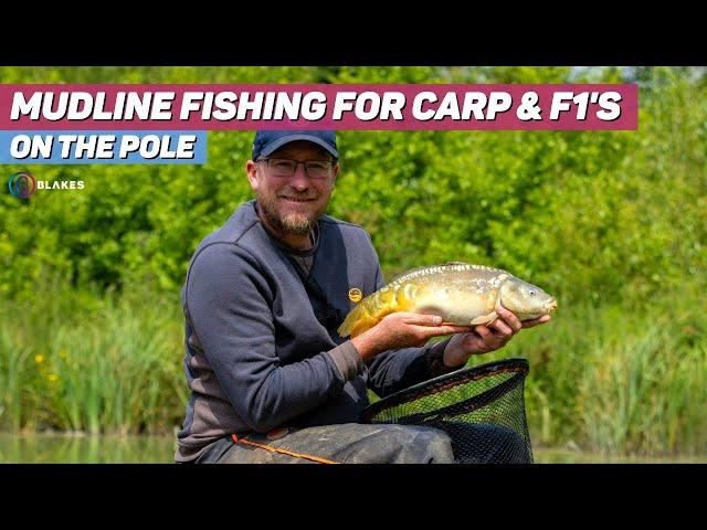 Mudline Fishing for Carp and F1s with Andy Bennett at Aston Park Fishery