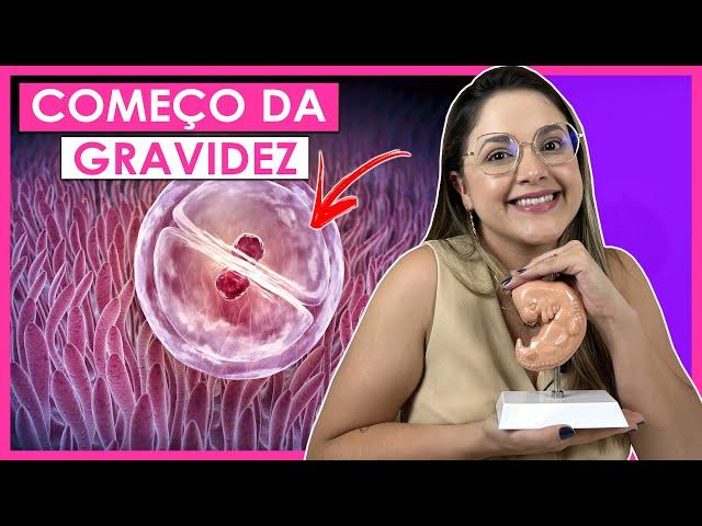 O COMEÇO DA GRAVIDEZ  (CUIDADOS)