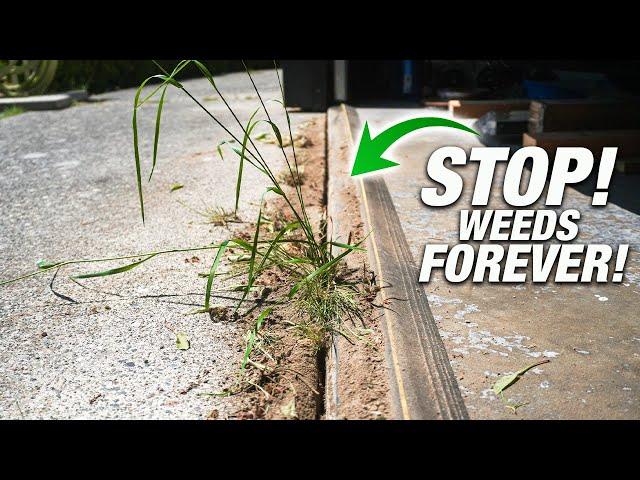 How To Get WEED-FREE Sidewalks And Driveways! The PERMANENT Solution! DIY