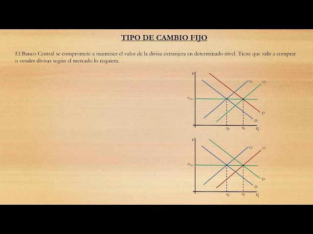 Tipo de cambio y régimen cambiario  - Parte 1