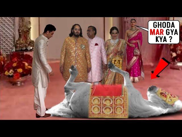 Hey Bhagwan Wedding Horse fell down unconsciously as Anant Ambani mounted in his Marriage