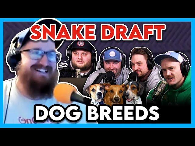 Drafting the Best Dog Breeds