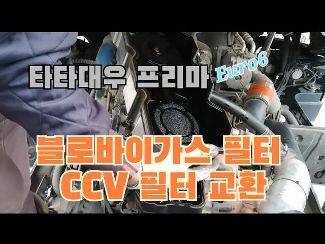 타타대우 프리마 블로바이가스필터 교환 CCV필터 교환.