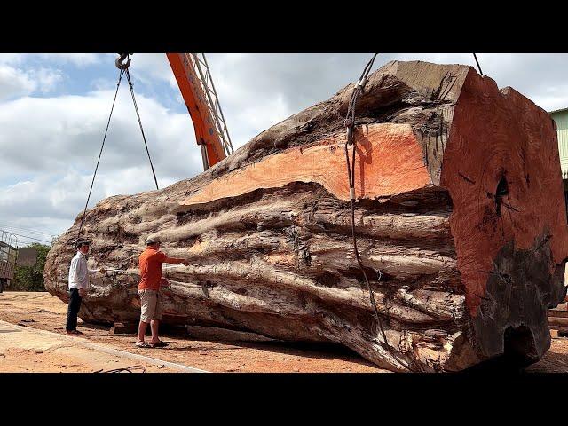 Cutting Ancient Christmas Tree // The Largest Woodworking Project On The Planet