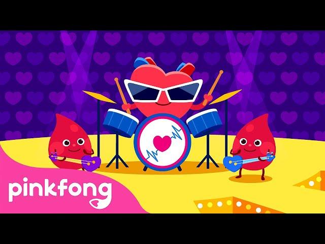 Coração | Canções do Corpo Humano | Pinkfong Canções para Crianças