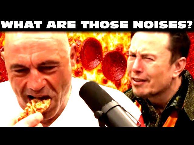 Joe Rogan Destroys A Pizza w/ Elon Musk