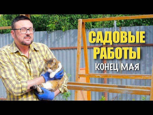 Борьба с вредителями  у Люси депрессия  жирные личинки - вредители или нет  урожайные огурцы 