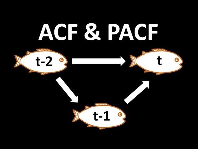 Time Series Talk : Autocorrelation and Partial Autocorrelation