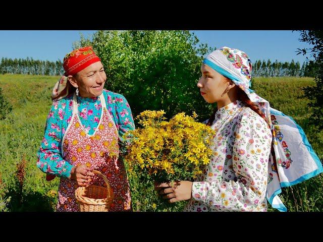 Simple village life in the village in summer in Russia. Tatarstan