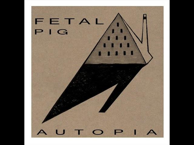 Fetal Pig - Inside The Pyramid
