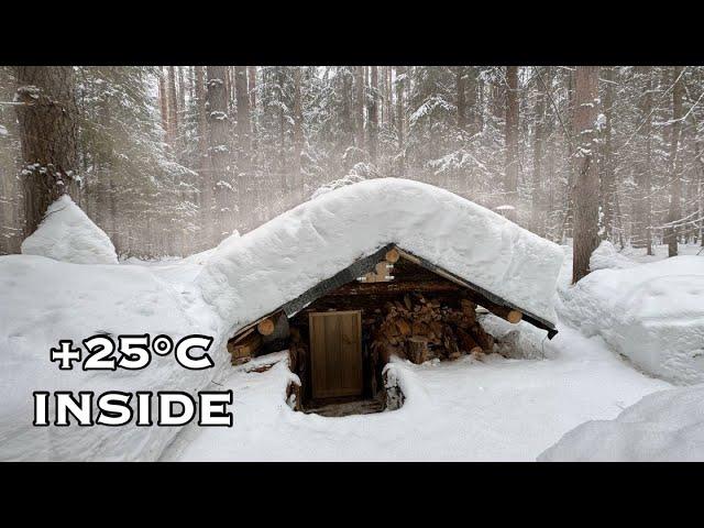 This SHELTER will SAVE your Life! A COZY NIGHT IN A LOG CABIN UNDERGROUND. SOLO BUSHCRAFT