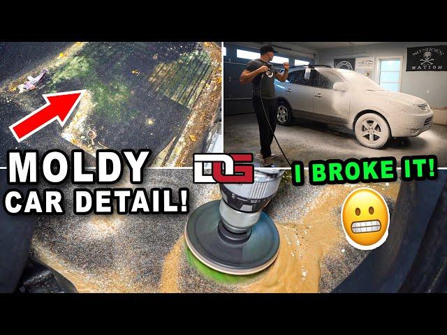 MIND-BLOWING Detailing Transformation! | The Detail Geek