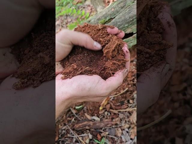 Making a fire log with natural materials 