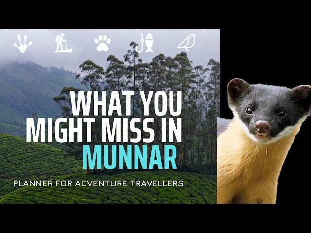 What Do Many Miss In Munnar?  I Trekking, Birding, Wildlife, Angling & More!