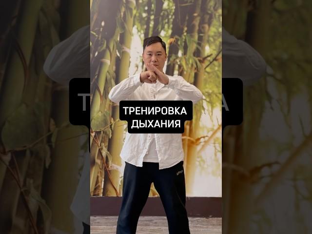 Тренировка дыхания из Цигун! #здоровье #дыхание #релакс #энергия #упражнения #тренировка #цигун #рек