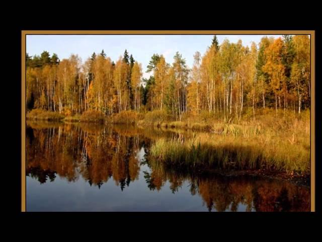 МАРИНА НЕЧАЕВА БАБЬЕ ЛЕТО