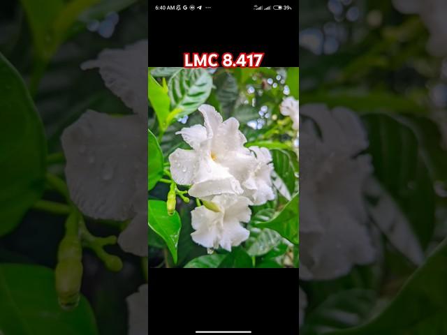 Ful Hd Dslr config file lmc 8.4 config file download #gcam #lmc #top #shorts