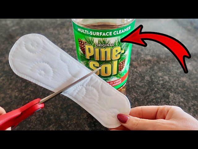 Put $1 Pine Sol on your Panty Liner  Miracle & Ingenious Trick! (WATCH THIS)