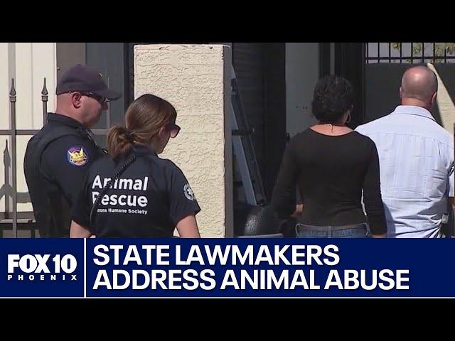 Animal advocates support bill for pet care standards