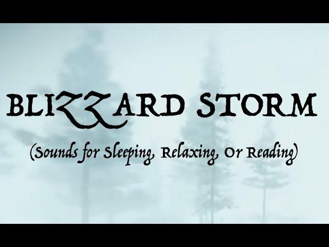 ️SOUNDS OF A BLIZZARD STORM (Sleep, Relax, Or Read)