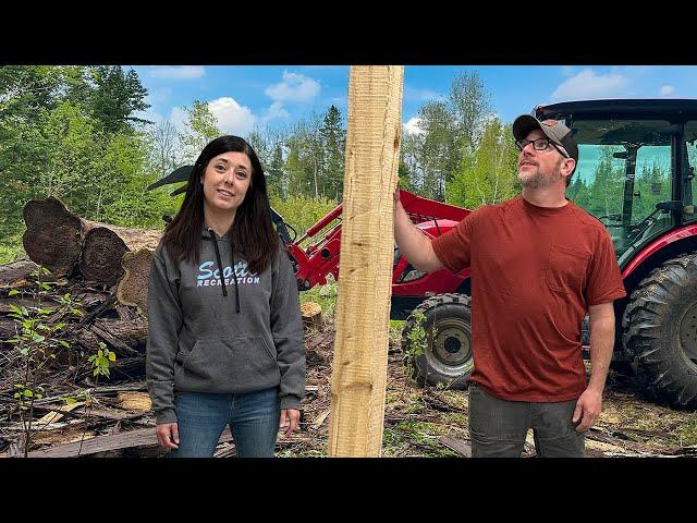 BURIED in the WOODS | The START to the NEXT PROJECT