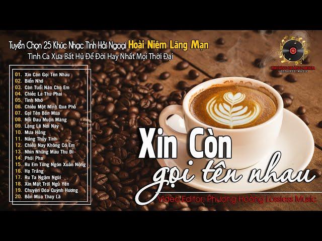 [CD04] Thư Giãn Với Giai Điệu Tình Ca Phòng Trà Từng Làm Điên Đảo Bao Thế Hệ | Nhạc Vàng Xưa Bất Hủ