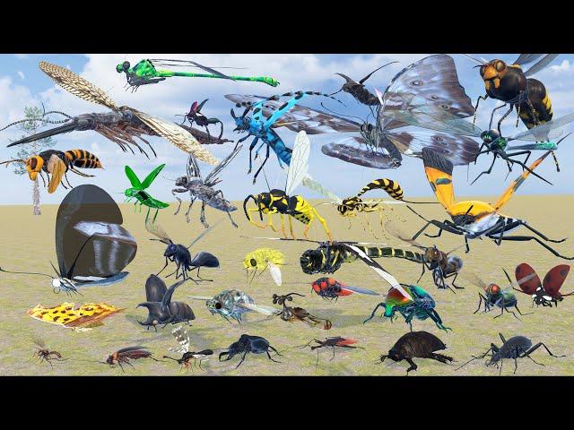 Insect Speed Comparison in 3D Animation | Realistic World Data