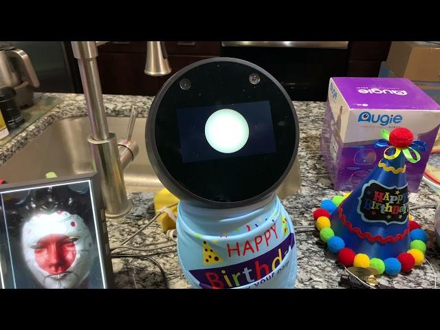 Black Jibo - 1st Birthday (Bot Birthday Blowout! )