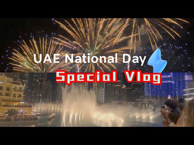 53rd UAE National Day Celebrations 2024 VLOG | Fireworks | Traditional Arabic Dance #uae #dubai #fyp