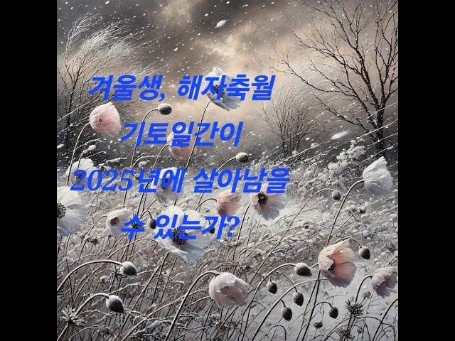 겨울생 해자축월 기토 사주해석과 2025년 운세 최종