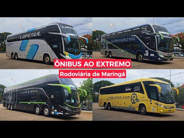 ÔNIBUS AO EXTREMO: Comil DD da Guerino, G8 da Lopesul e G7 da RodeRotas