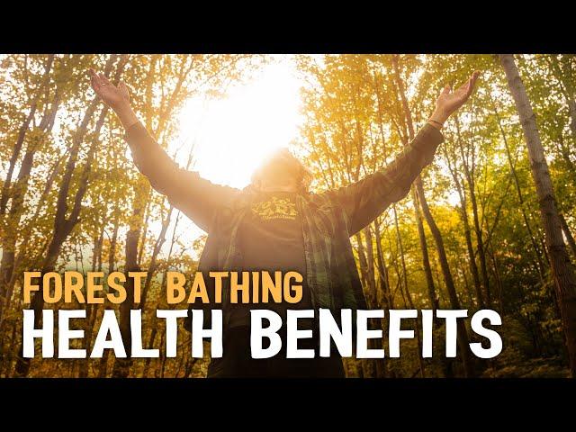 What is Forest Bathing? Shinrin Yoku Health Benefits