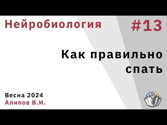 Нейробиология обучения 13. Как правильно спать