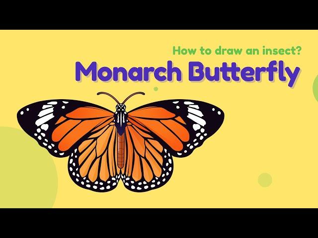 How to draw an insect - Monarch Butterfly? Easy drawing | Insect character design tutorial